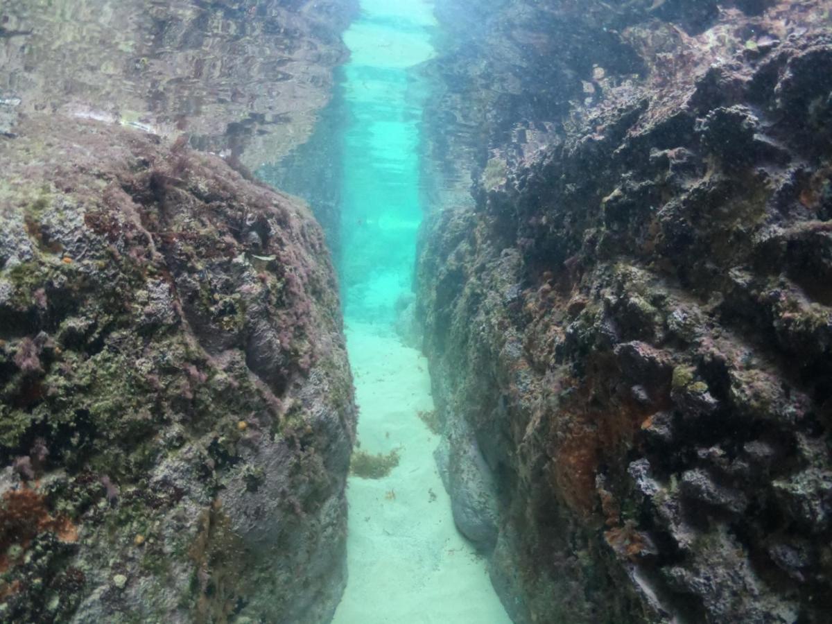 Pousada Flor Do Atlantico Fernando de Noronha Zewnętrze zdjęcie